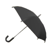 Busted Umbrella Image