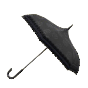 Black Chic Umbrella Image