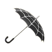 Spider Umbrella Image