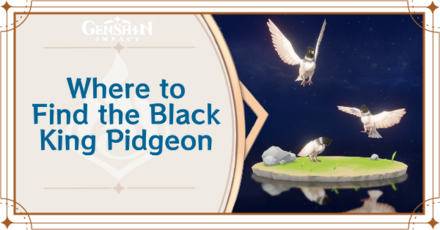 Genshin Impact - Where to Find the Black King Pidgeon