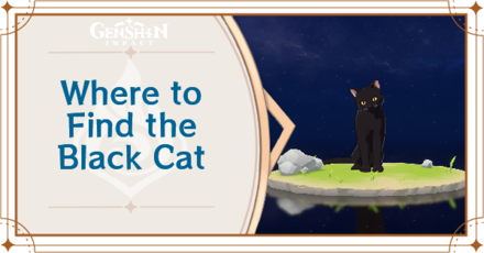Genshin Impact - Where to Find the Black Cat