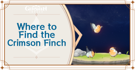 Where to Find the Crimson Finch