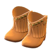 Cowboy Boots Image