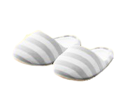 House Slippers Image