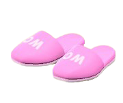 ACNH - Restroom Slippers Image