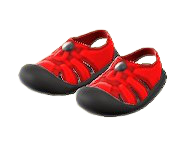 Sporty Sandals Image