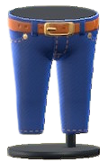 Denim Pants Image