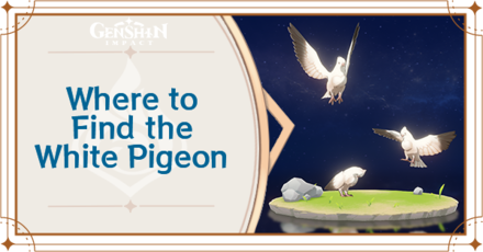 Genshin Impact - Where to Find the White Pigeon