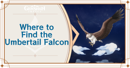 Genshin Impact - Where to Find the Umbertail Falcon