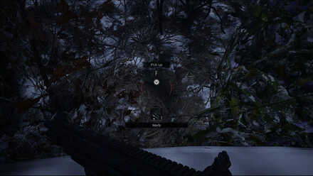 Resident Evil Village - Castle Part 2 - Courtyard Herb.jpg