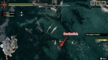 MH Rise - Scatterfish