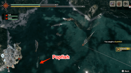 Monster Hunter Rise - Popfish.png