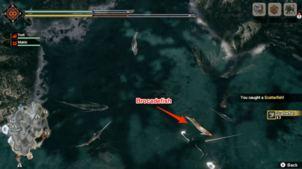 MH Rise - Brocadefish