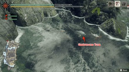 MH Rise - Gastronome Tuna