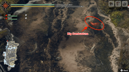 MH Rise - Big Combustuna