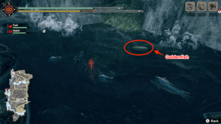 MH Rise - Goldenfish