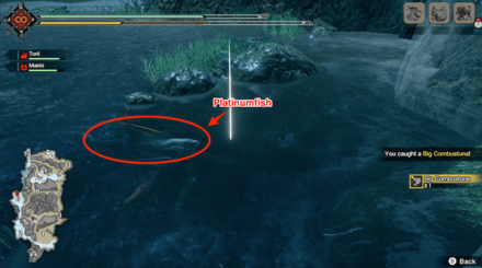 MH Rise - Platinumfish