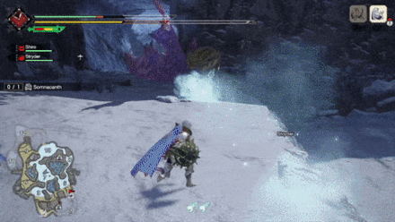 MH Rise - Bring Energy Drinks and Deodorant