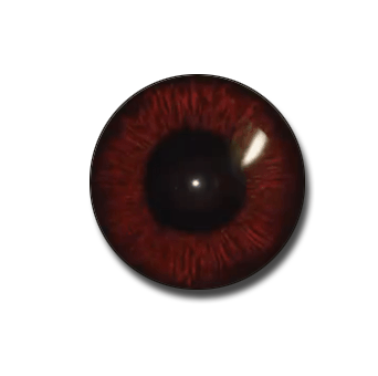 Resident Evil 8 - Maroon Eye