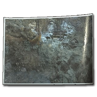 Photo of a Phantom Fish Icon.png