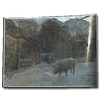 Photo of a Rare Animal Icon.png