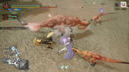 MH Rise - Beat up Regular Wroggi First