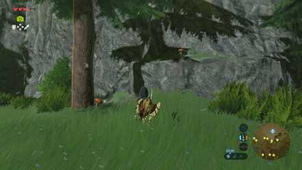 Hylian Shroom pathway