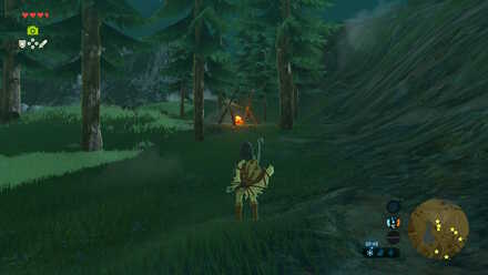 Hylian Shroom - Bokoblin Camp