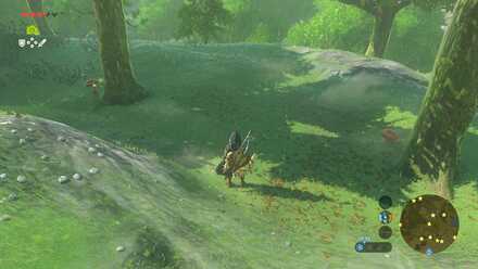 Hylian Shroom After Going Down