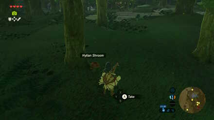 Hylian Shroom - Hopper Pond