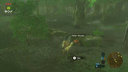 Hylian Shroom - Campsite