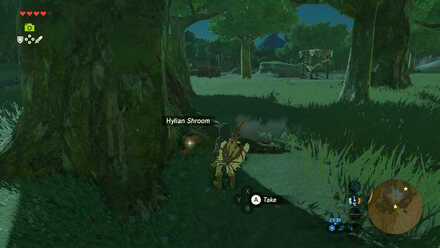 Hylian Shroom - Hopper Pond/Bokoblin Camp