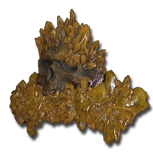 Bister Skull Icon.png