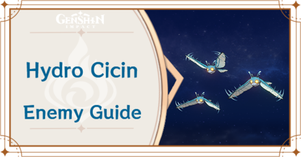 Genshin Impact - Hydro Cicin Banner