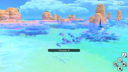 School of Finneon.jpg