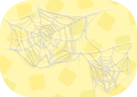 Spider Web Image