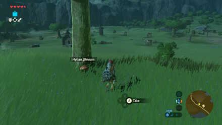 Hylian Shroom - Ash Swamp