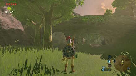 Hylian Shroom - Mount Rozudo forest