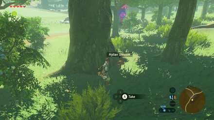 Hylian Shroom - Near Windvane Meadow