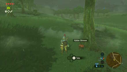 Hylian Shroom - Ranch Ruins