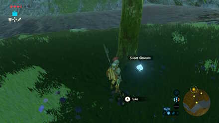 Silent Shroom by Night