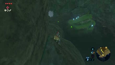 Silent Shroom - Hickaly Woods rock