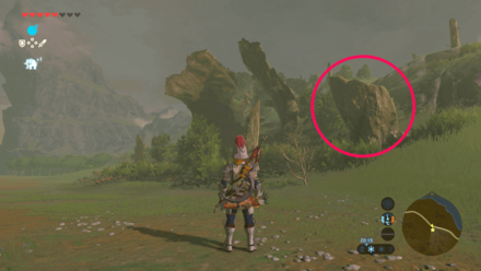 Ironshroom - Shrubs and Tree Remains