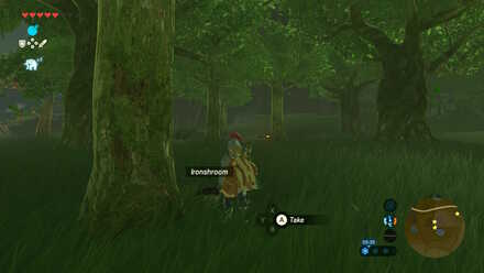 Ironshroom - Hill Campsite