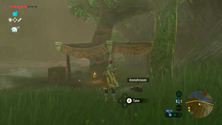 Ironshroom - Hill Tower