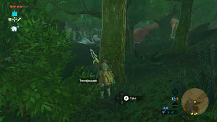 Ironshroom - Great Fairy Fountain