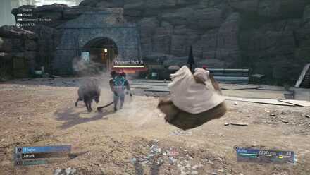 Dodge attack Wayward Wolf