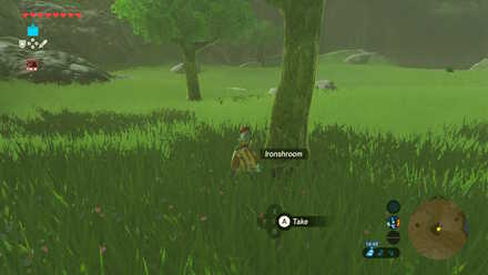 Ironshroom - Mable Ridge