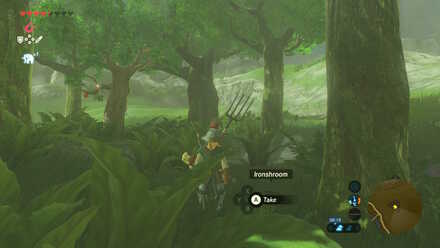 Ironshroom - Tree Grove