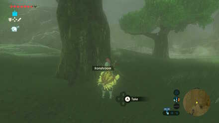 Ironshroom - Keya Pond